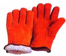 Gloves